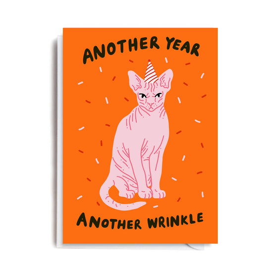 Another Year Another Wrinkle Card