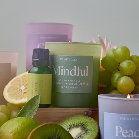 Paddywax Wellness Soy Candle - Mindful