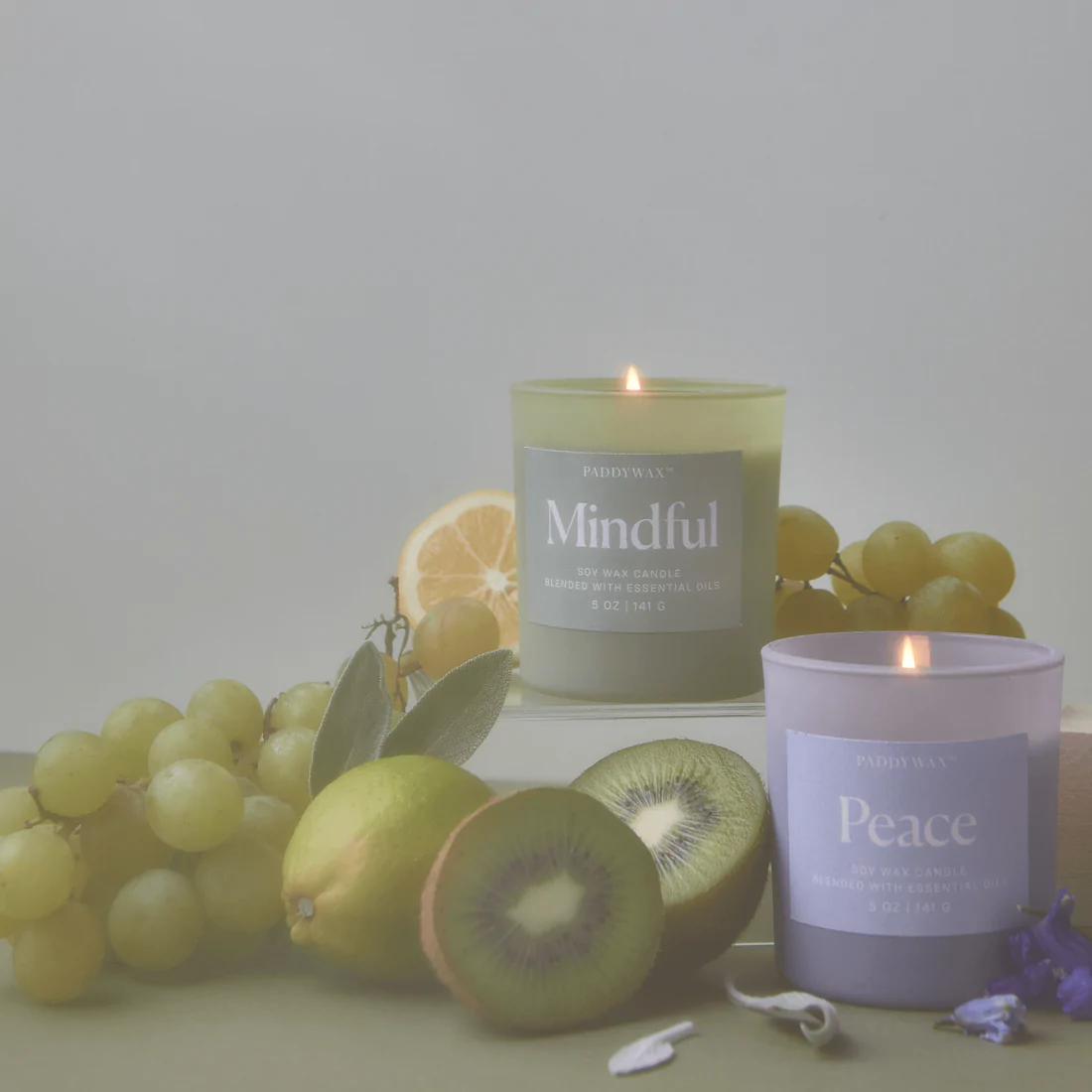 Paddywax Wellness Soy Candle - Mindful